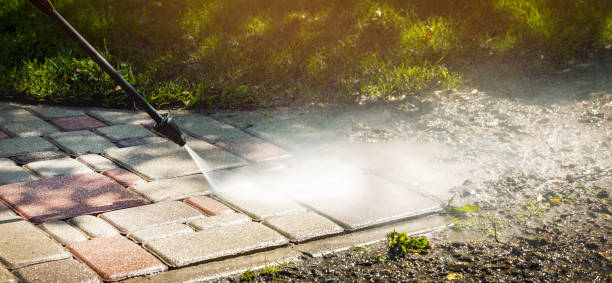 Best Patio and Deck Pressure Washing  in Tillamook, OR